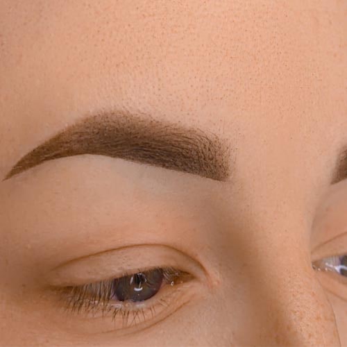 Permanent Make-up, Waxing, Microblading, Augenbrauen, Wipmern, Lidstrich, Lippen, Haare, Narben, Gesicht, dauerhaften kosmetischen T&auml;towierungen